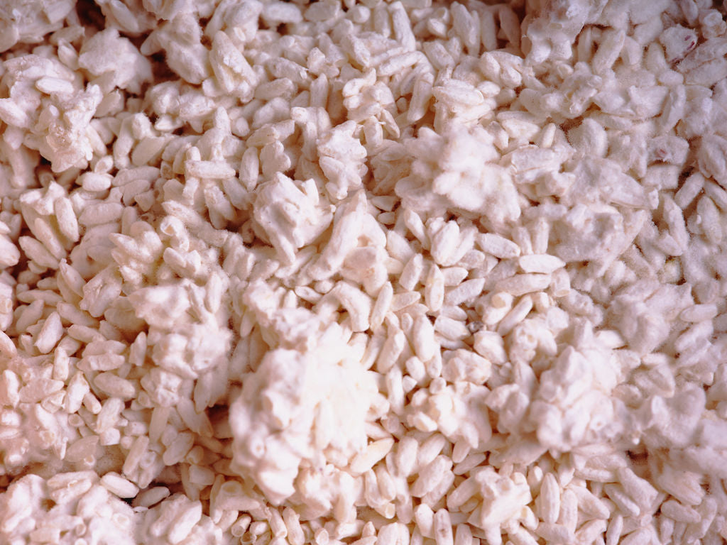 Rice Koji